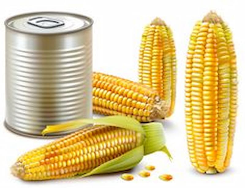 کنسرو ذرت امریکن با دانه های آماده مصرف